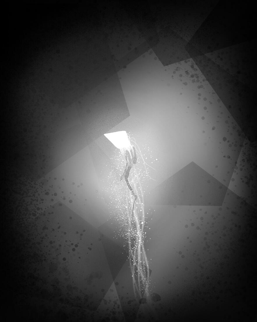 &#39;Silt concept&#39;